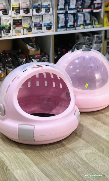 Alpemir Pet Shop Akvaryum