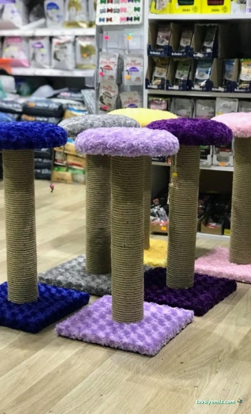 Alpemir Pet Shop Akvaryum