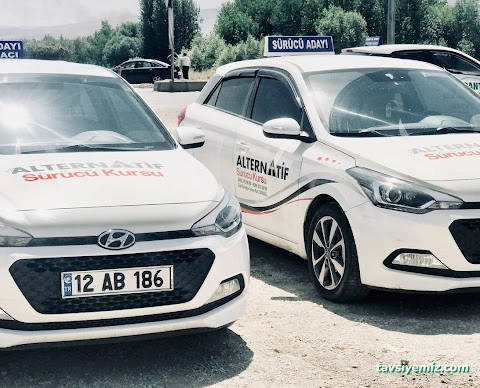 Alternatif Surucu Kursu