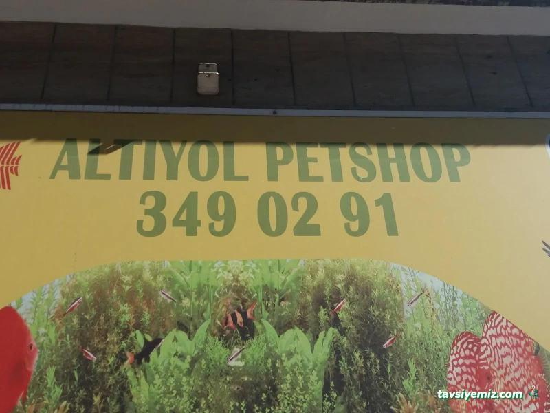 Altı Yol Pet Shop