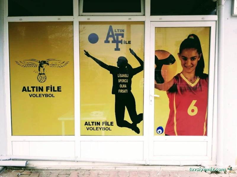 Altın File Gençlik Ve Spor Kulübü