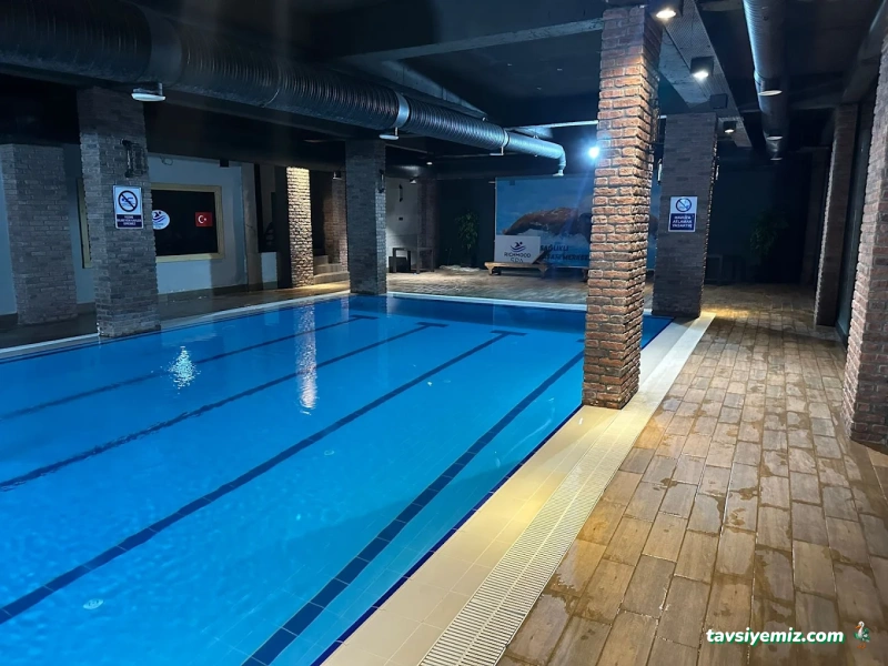 Altın Palet Spor Kulübü