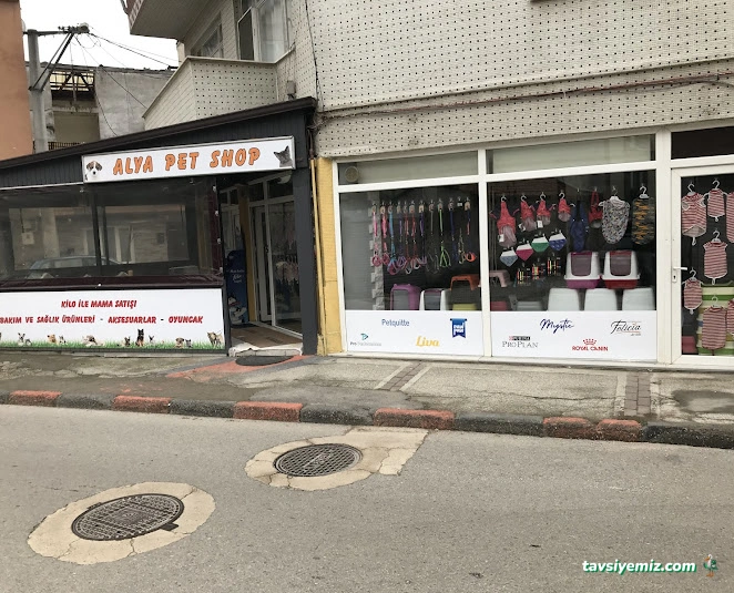 Alya Pet Market