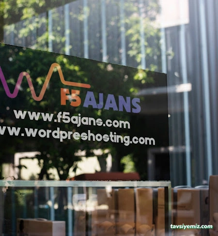 Amasya Web Tasarımcı