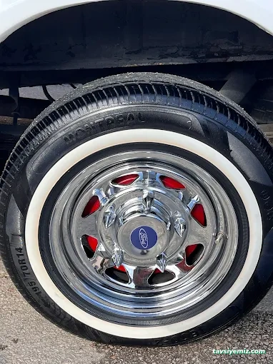 Amasyalı Rot Balans