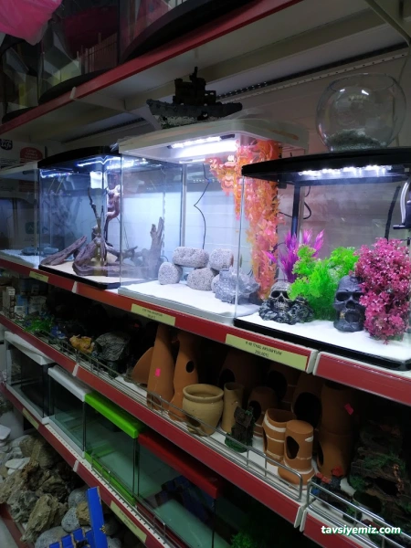 Anadolu Akvaryum Ve Kuş Galerisi