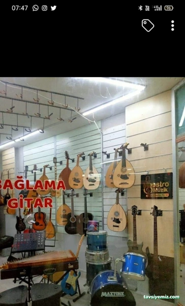 Anatolia Sanat Evi Müzik Mağazası