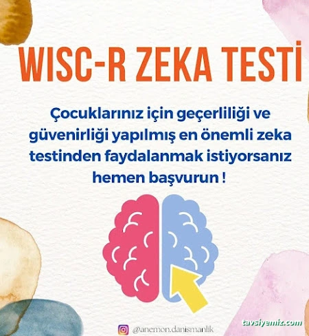 Anemon Psikolojik Danışmanlık Ve Eğitim Merkezi