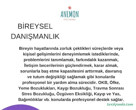 Anemon Psikolojik Danışmanlık Ve Eğitim Merkezi