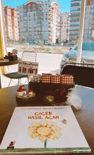 Angel Play House Oyun Ve Kahve Evi