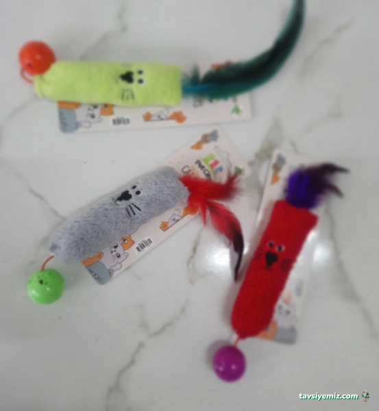 Animal Home Pet Shop