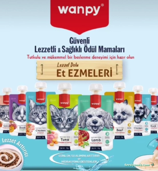 Animal Home Pet Shop