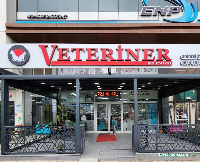 Animal Home Veteriner Klınığı