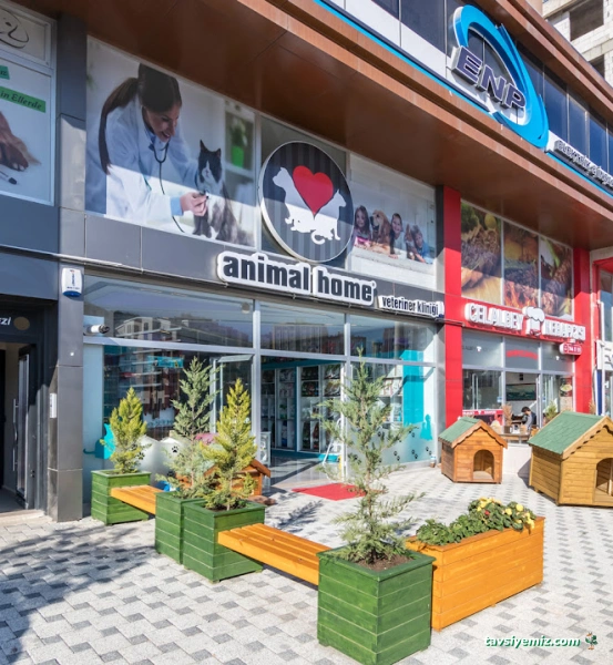 Animal Home Veteriner Klınığı