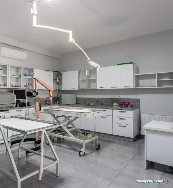 Animal Home Veteriner Klınığı