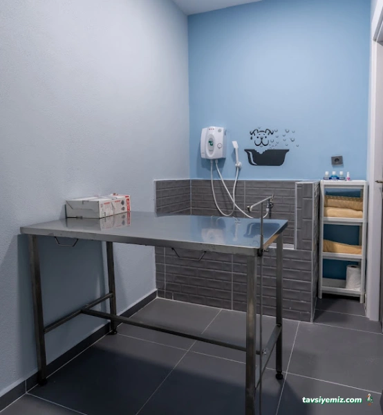 Animals Ocean Veteriner Kliniği