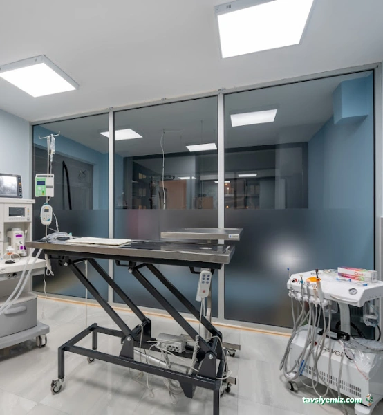 Animals Ocean Veteriner Kliniği