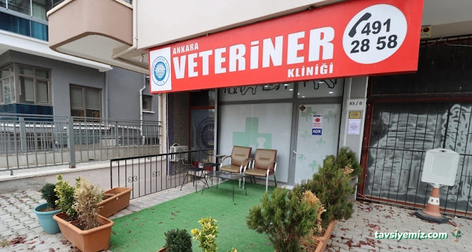 Ankara Veteriner Kliniği