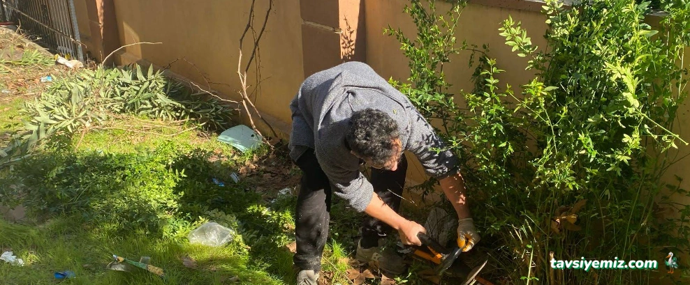 Antalya Bahçivan Hizmeti