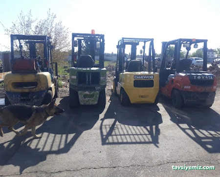 Antalya Kiralık Vinç Kiralık Sepetli Vinç Hizmeti