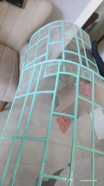 Antalya Temizlik Ekibi