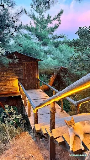 Antik Vadi Bungalov Otel Kazdağları