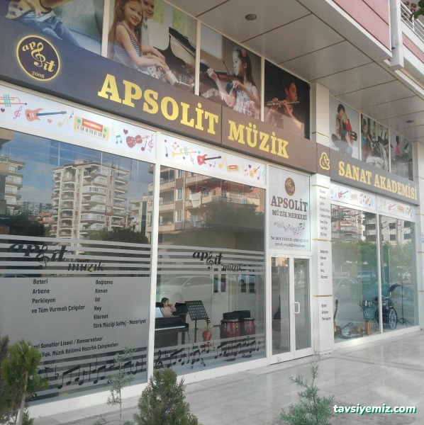 Apsolit Müzik Kursu & Keman Kursu & Gitar Kursu