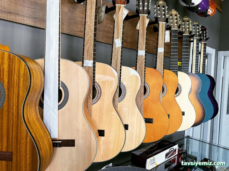 Apsolit Müzik Kursu & Keman Kursu & Gitar Kursu