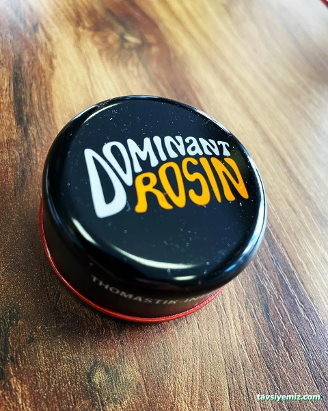 Apsolit Müzik Kursu & Keman Kursu & Gitar Kursu