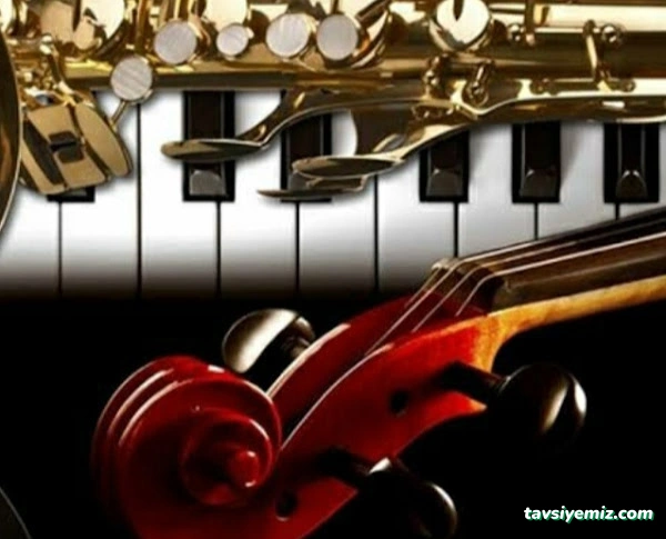 Arçelik, Kaledere Orta Çarşı Caddesi, Gürsoylu Yanı 33/D, 52300 Ünye/Ordu