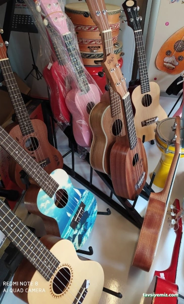 Arçelik, Kaledere Orta Çarşı Caddesi, Gürsoylu Yanı 33/D, 52300 Ünye/Ordu