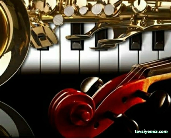 Arçelik, Kaledere Orta Çarşı Caddesi, Gürsoylu Yanı 33/D, 52300 Ünye/Ordu