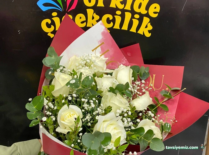 Ardahan Çiçekçilik Orkide