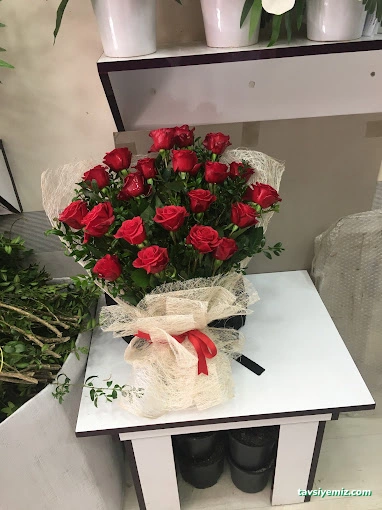 Ardahan Çiçekçilik Orkide