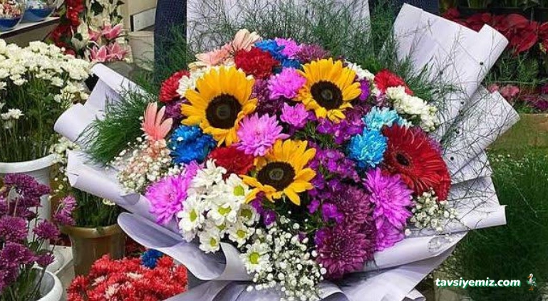 Ardahan Çiçekçilik Orkide