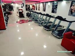 Arena Fitness
