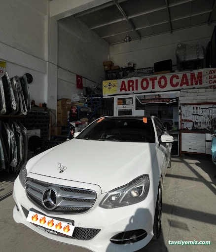 Arı Oto Cam