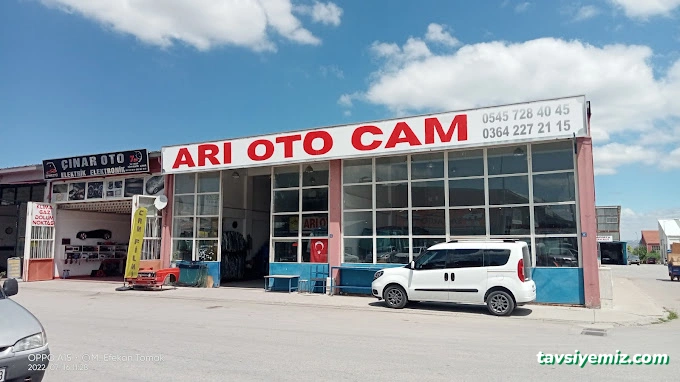 Arı Oto Cam