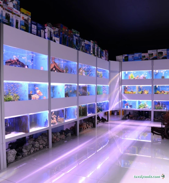 Arkadaş Pet Akvaryum