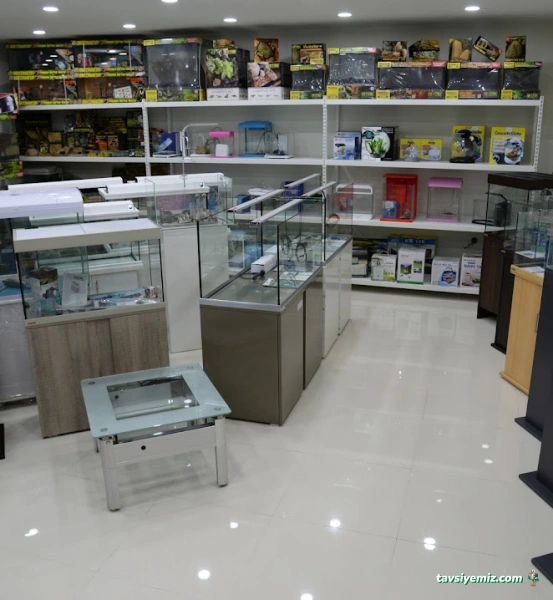 Arkadaş Pet Akvaryum