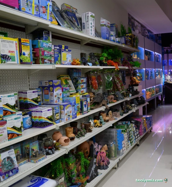 Arkadaş Pet Akvaryum