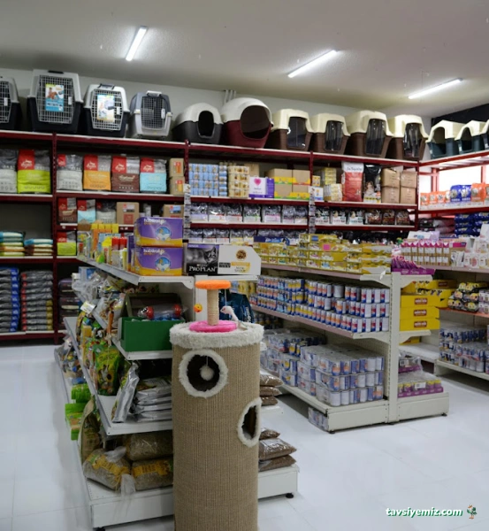 Arkadaş Pet Akvaryum