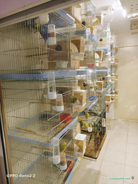 Arslan Pet Shop