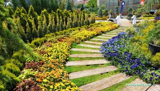 Arslan Ticaret Ahmet Arslan