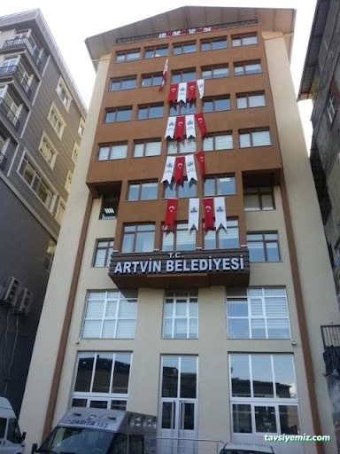 Artvin Belediyesi - Artvin Merkez - 1