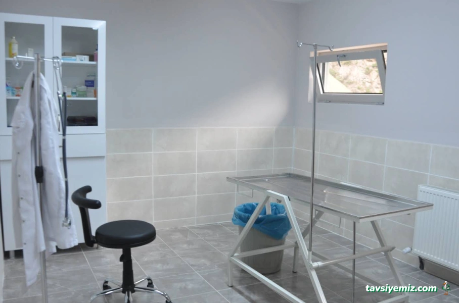 Artvin Hayvan Bakımevi Ve Rehabilitasyon Merkezi
