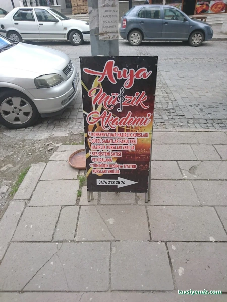 Arya Müzik Akademi