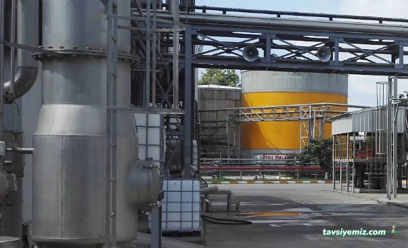 As Gıda Kocaeli / Pakmaya İzmit Fabrika