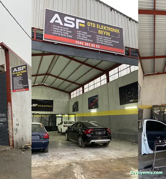 Asf Oto Elektronik & Beyin