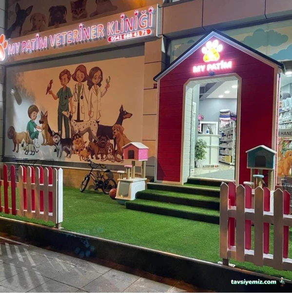 Asia Decor İnşaat Hafriyat Ve Turizm Tic.ltd.